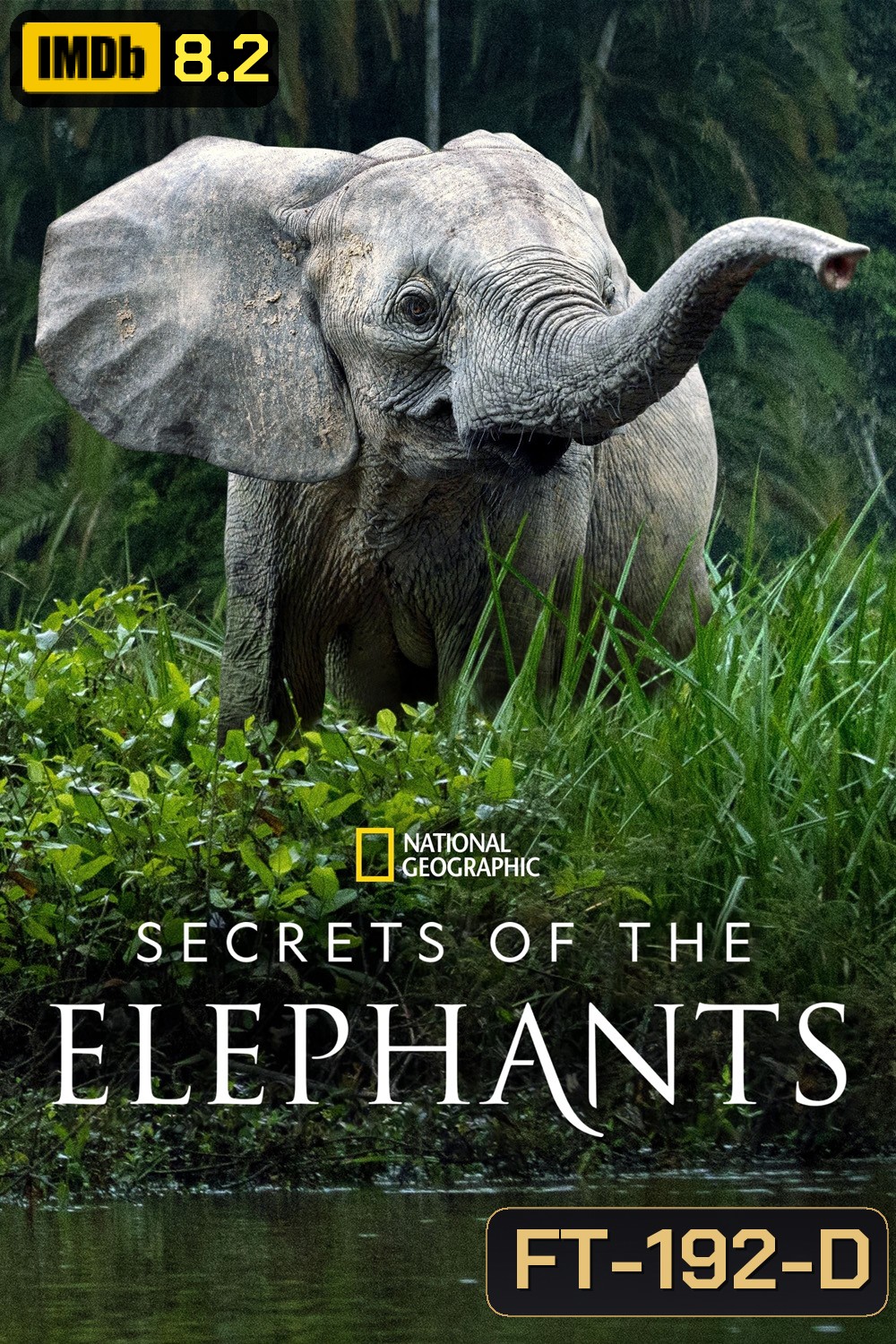Secrets of the Elephants (2023) 4 ตอน