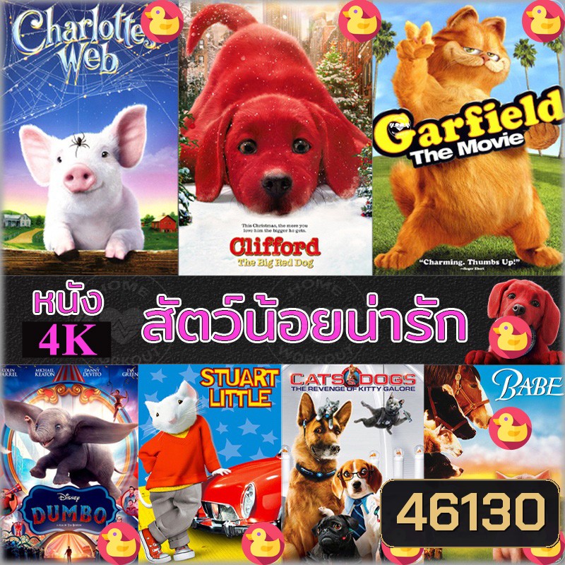4K หนัง สัตว์น้อยน่ารัก ปีเตอร์แรบบิท หมาแมว เบ๊บ แมงมุมเพื่อนรัก 4K