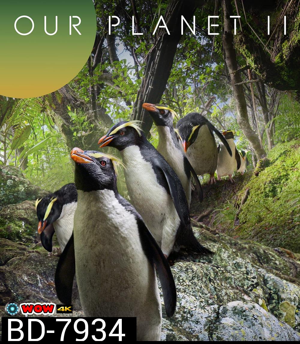 Our Planet (2023) Season 2 (ภาพ HDR) 