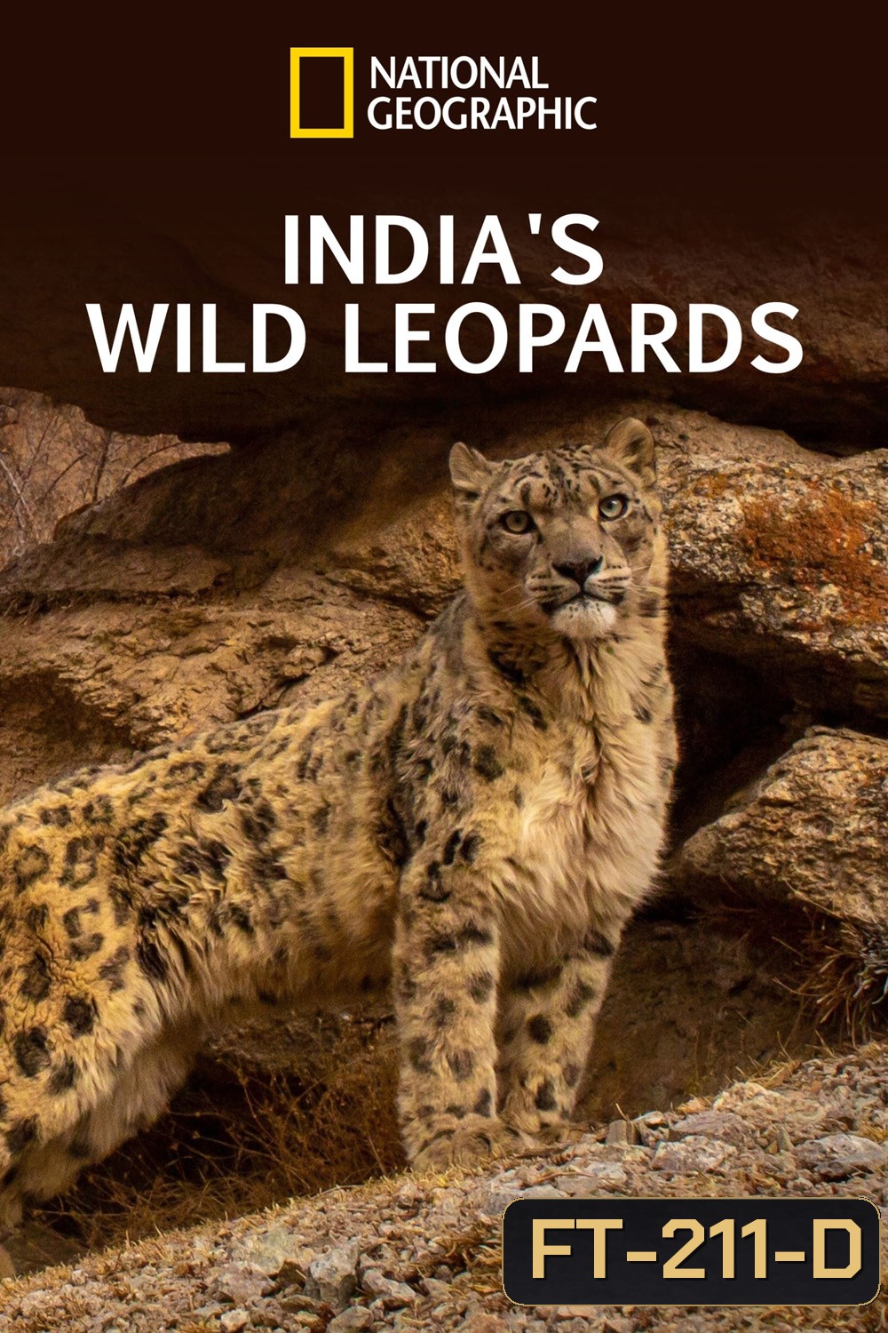 India's Wild Leopards (2020) เสือดาวป่าแห่งอินเดีย