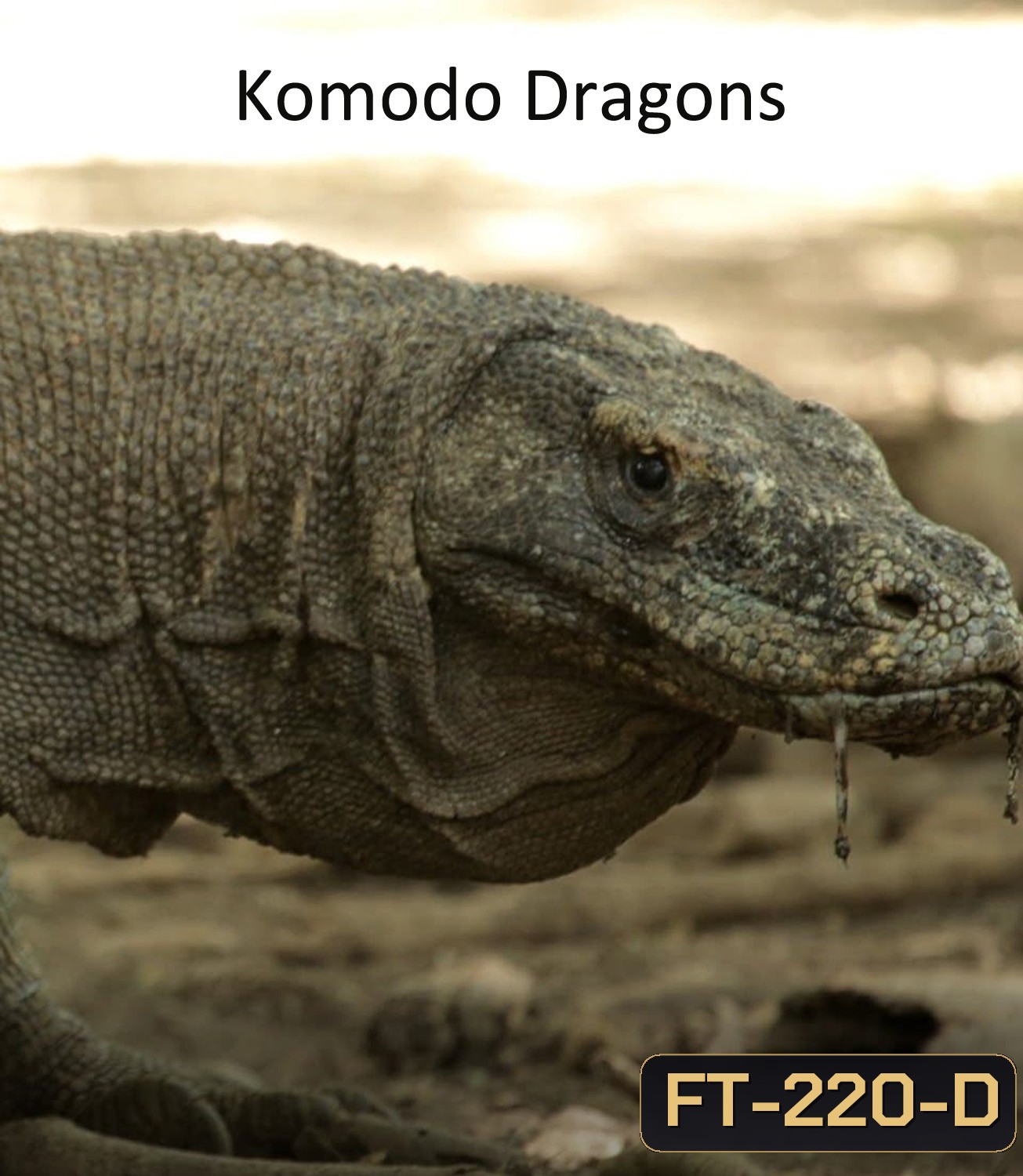 มังกรโกโมโด Komodo Dragons (2007)