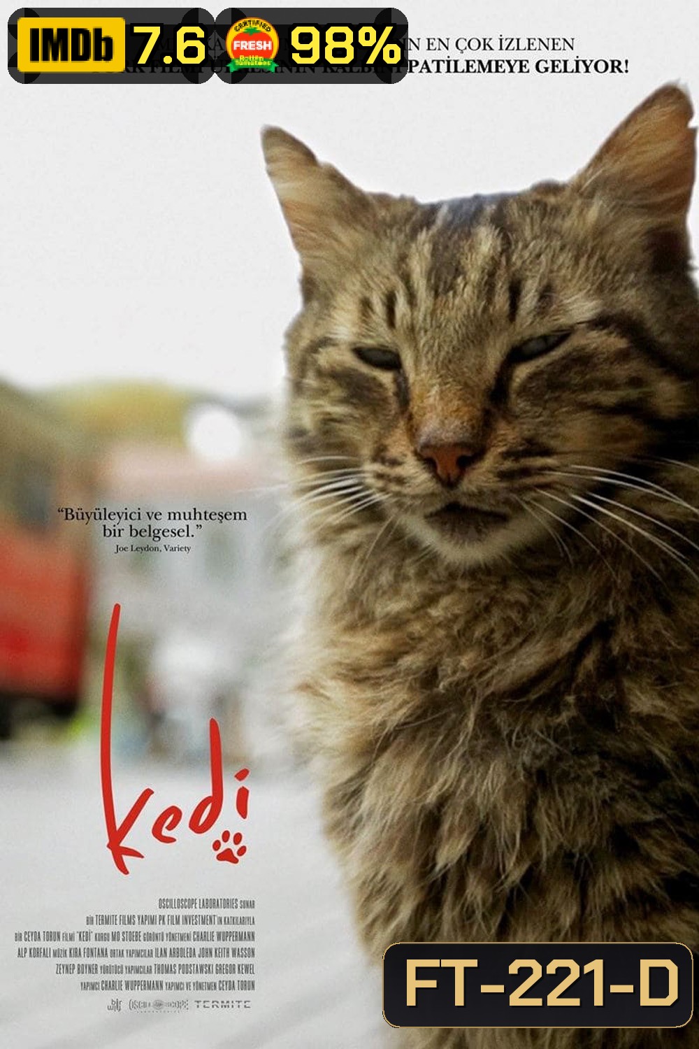 Kedi เมืองแมว (2016) สารคดีแมวเมืองอิสตัลบูล ทาสแมวต้องไม่พลาด!!