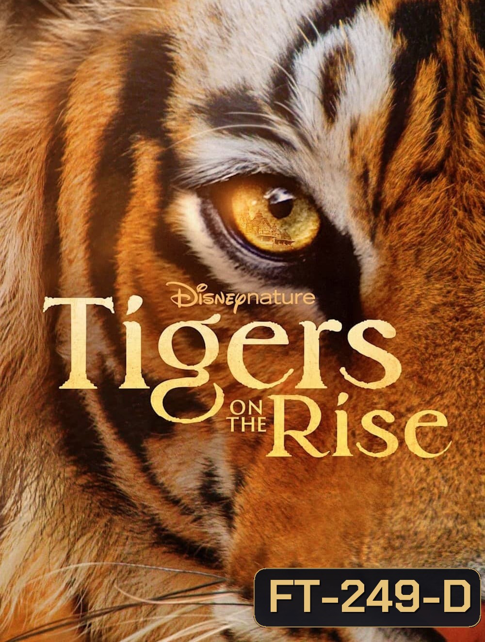 Tigers on the Rise (2024)