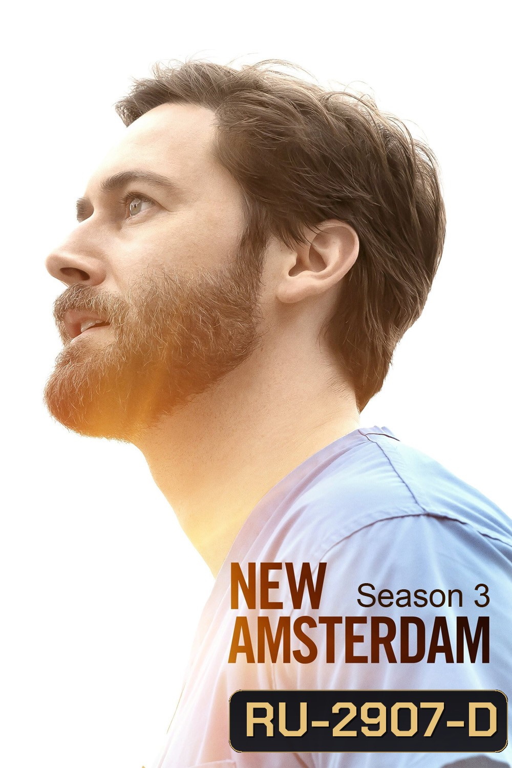 New Amsterdam Season 3 นิว อัมสเตอร์ดัม ปี 3 (2021) 14 ตอน