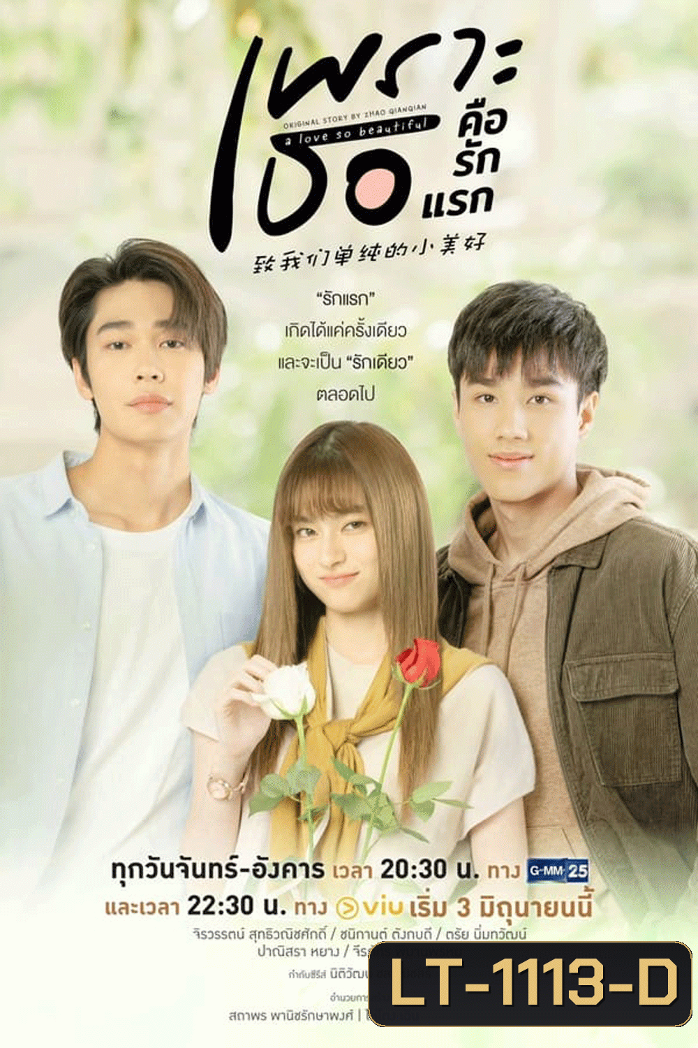 A Love So Beautiful เพราะเธอคือรักแรก (2024)
