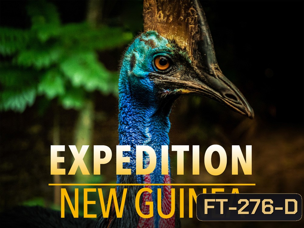 Expedition New Guinea สำรวจป่านิวกินี (2021) 3 ตอน