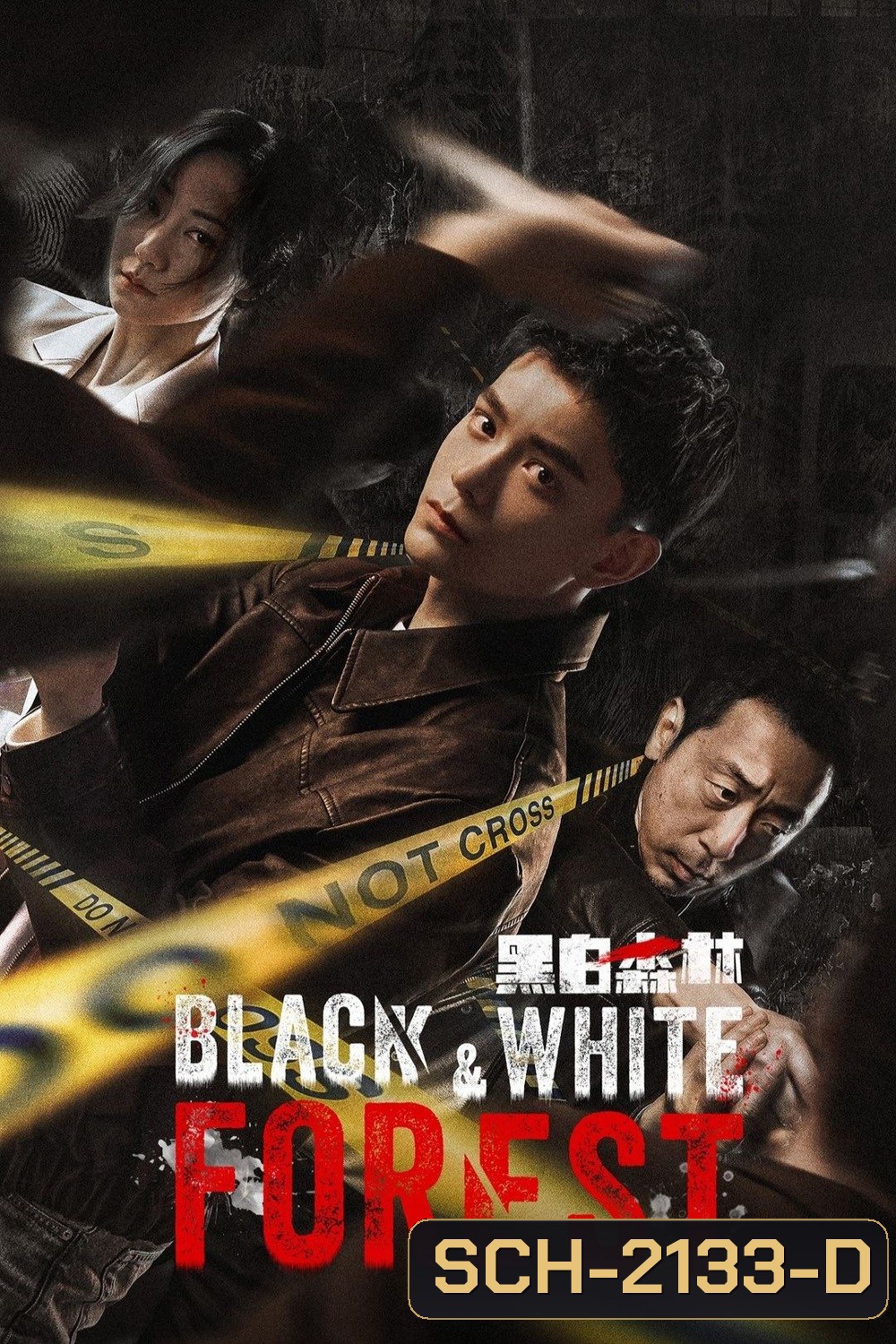 Black and White Forest ปมปริศนาป่าซ่อนเงื่อน (2024) 28 ตอนจบ