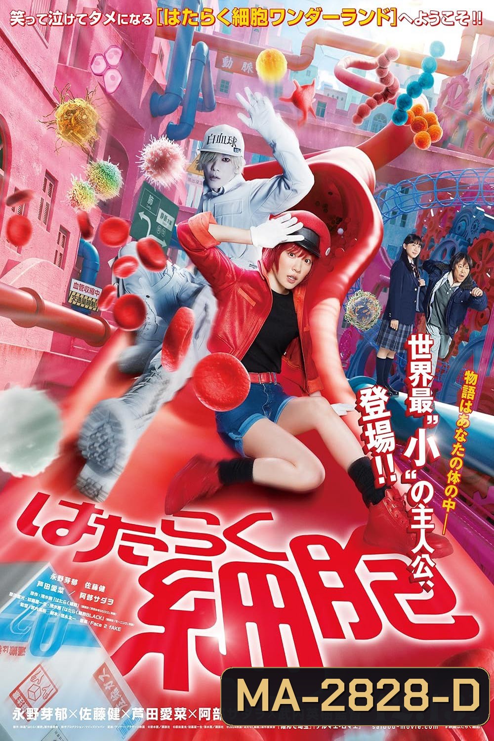 Cells at Work Hataraku Saibou เซลล์ขยันพันธุ์เดือด (2024)