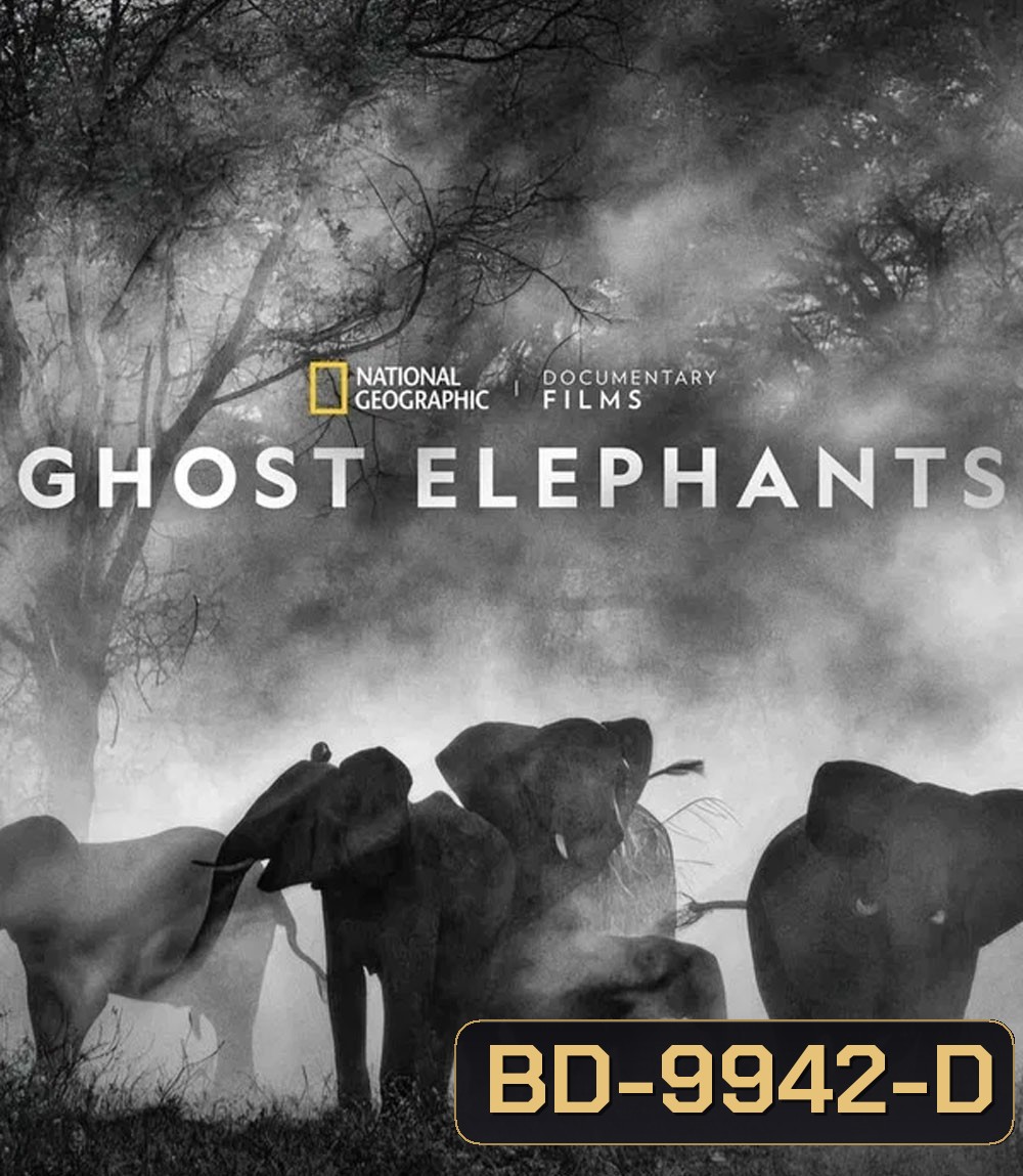 Ghost Elephants (2025)