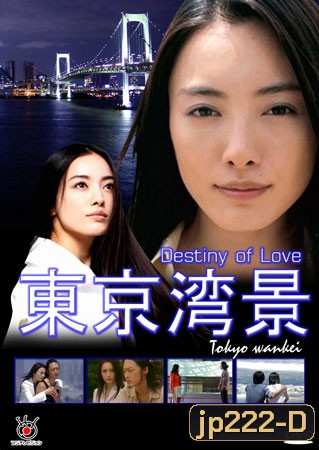 Destiny of Love (ลิขิตรักจากฟากฟ้า)