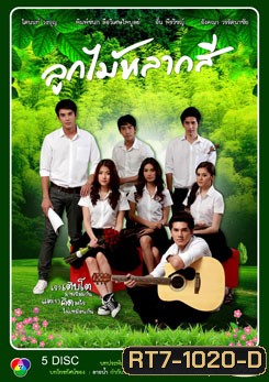 ลูกไม้หลากสี